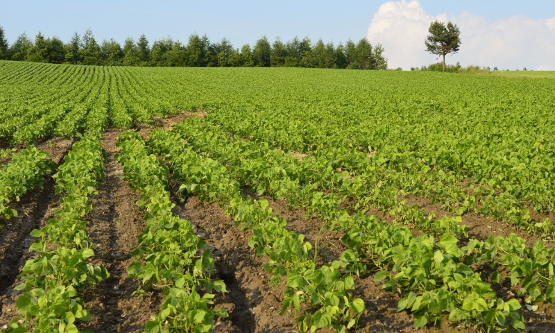 REASON.01 余分な物は入れないシンプル処方。