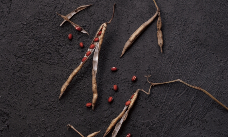 REASON.01 余分な物は入れないシンプル処方。